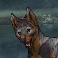 Enclave PuppyH Headshot