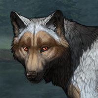 Wolf Headshot