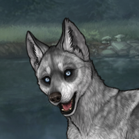 **Titanium-5M/Husky Headshot