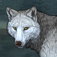 Wolf Headshot