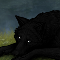 Melanism pup Headshot