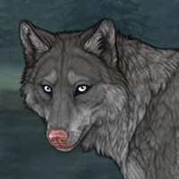 Rat-Wolf Headshot