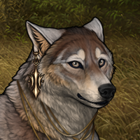 Wolf Headshot