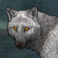 Wolf Headshot