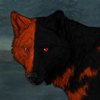 Wolf Headshot