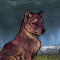 corrundum Headshot