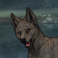 Nathinish Male Pup Headshot