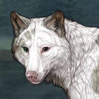Fern Headshot