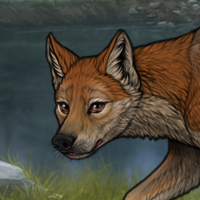 Toqwa'q Headshot