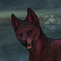 Corundum F Pup T3 Headshot