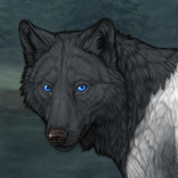 Wolf Headshot