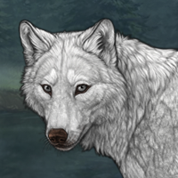 White Fang Headshot