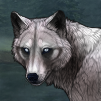 Dhuuxo Headshot