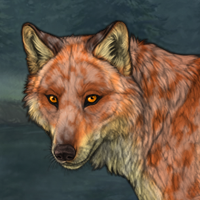 Stalker Fox Headshot