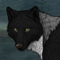 Wolf Headshot