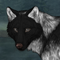 Wolf Headshot