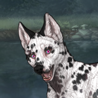 dalmation Headshot