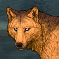 New Puppy spd agil Headshot