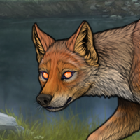 (RC) Fox Headshot