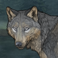 Wolf Song Headshot
