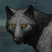 Wolf Headshot