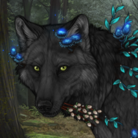Wolf Headshot