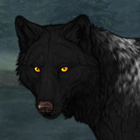 Wolf Headshot