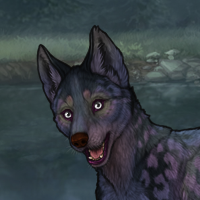 Blueschist!!! Chase Headshot