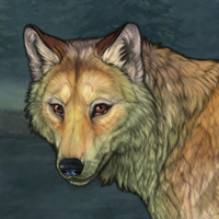 Kelpie Headshot