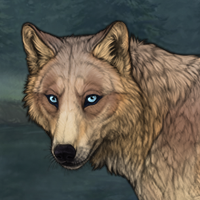 W litter Headshot