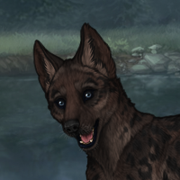 New Puppy Headshot