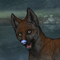 ((Pup))Sell Headshot