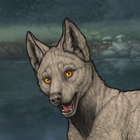 AshenFur Headshot