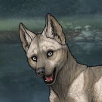 enclave puppy Headshot