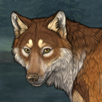 Coyote Teeth♧︎ Headshot