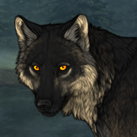 Wolf Headshot