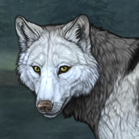 Wolf Headshot