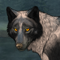 Wolf Headshot