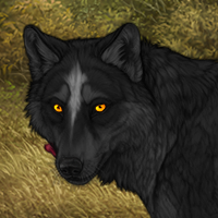 Wolf Headshot