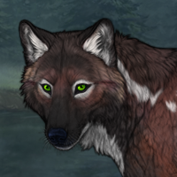 Fawn Project (Storm) Headshot