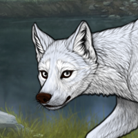 Tundra Headshot