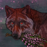 Wolf Headshot