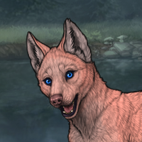 Enclave Puppy Headshot