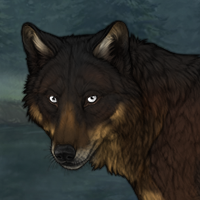 Selkie Headshot