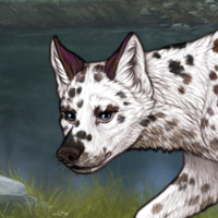 G6 Dalmatian Headshot