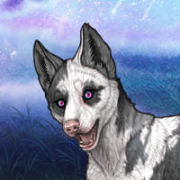 Ghost first piebald Headshot