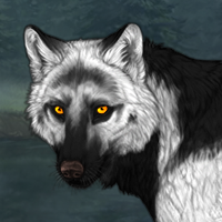 Wolf Headshot