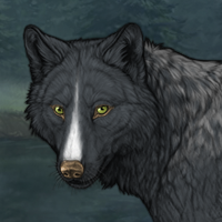 Wolf Headshot