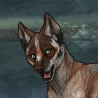 Badger - Scout Headshot
