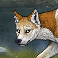 ○ F Piasa Merle fin Headshot